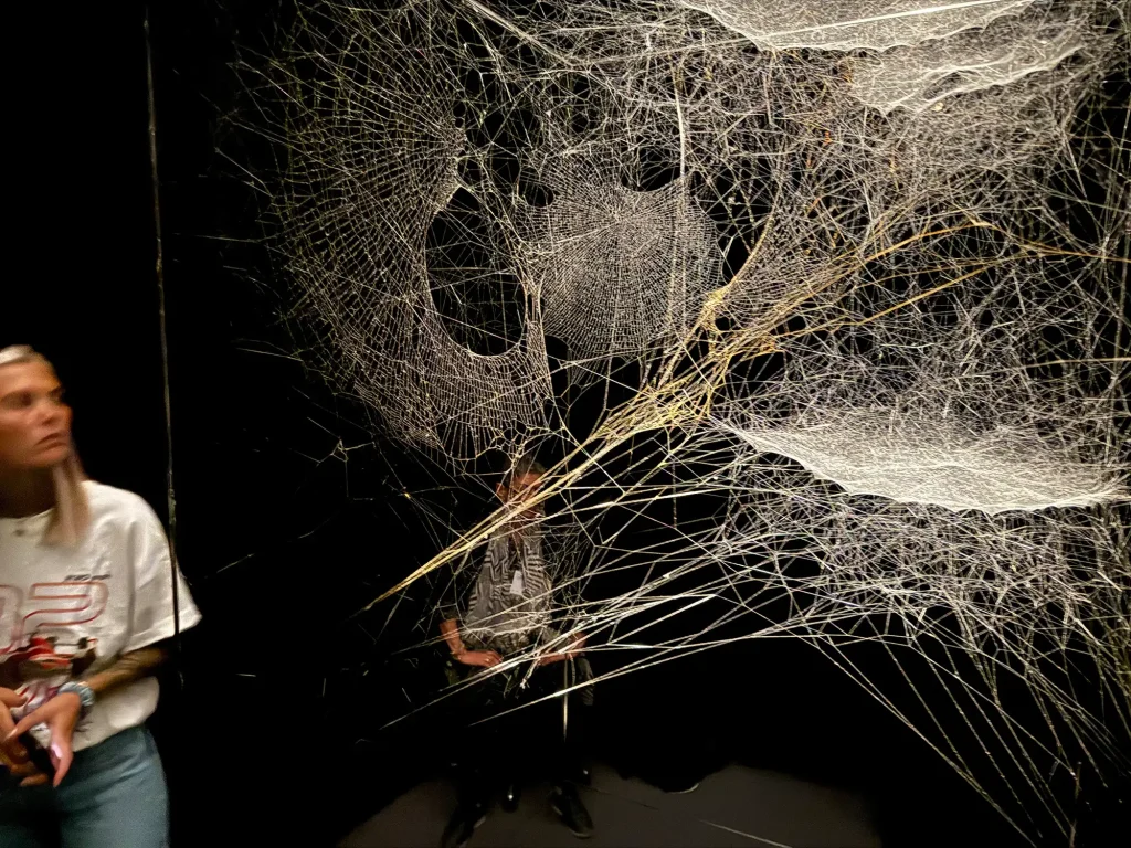 Tomás SaSaraceno in collaboration