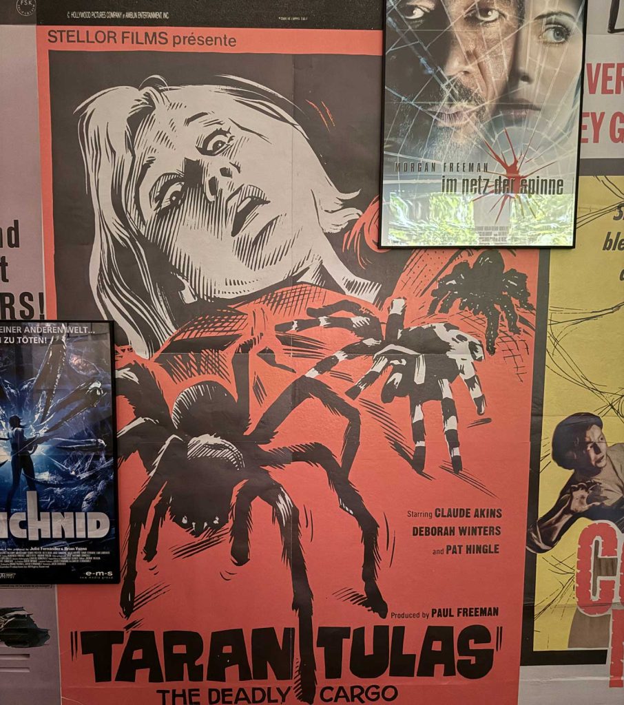 Tomás SaSaraceno in collaboration